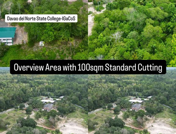 100 sqm Residential Lot For Sale in Samal Davao Del Norte