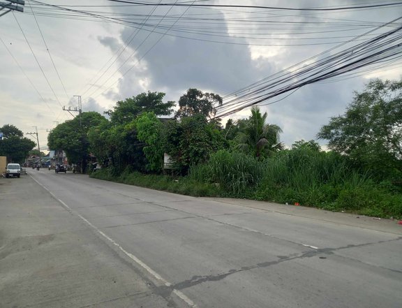 2.2 hectares commercial property lot for sale in santa maria bulacan