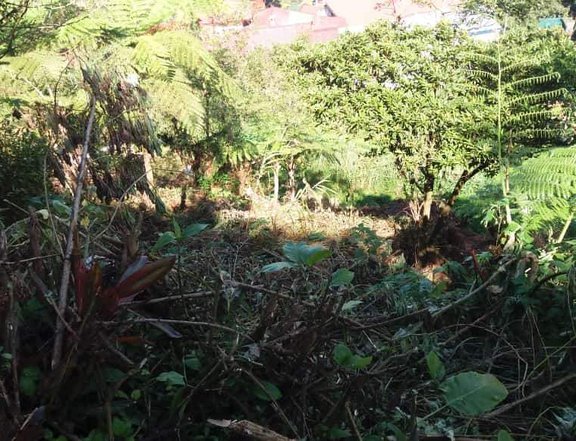 777 sqm Residential Lot For Sale in Baguio Benguet