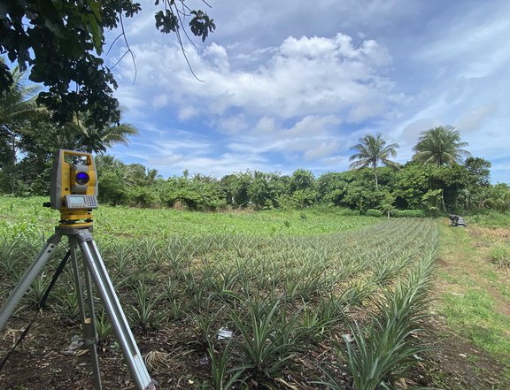 300 sqm Residential Farm For Sale in Mendez (Mendez-Nunez) Cavite