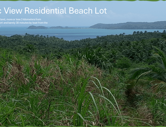Minimum of 500 sqm beach/farm property for sale in tinambac, camarines sur in