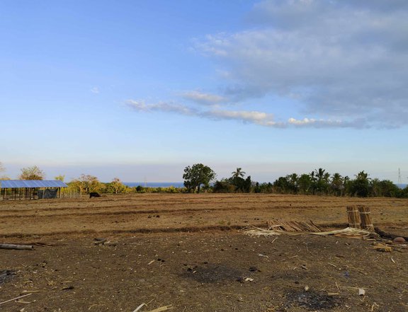 3,000 sqm Residential Farm For Sale in San Joaquin Iloilo