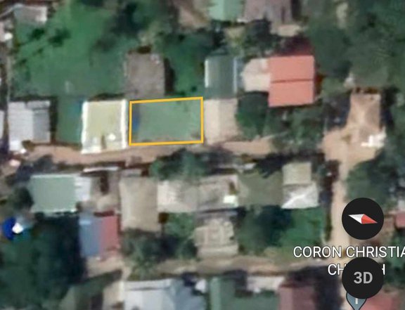 240 sqm Commercial Lot For Sale in Coron Town Proper