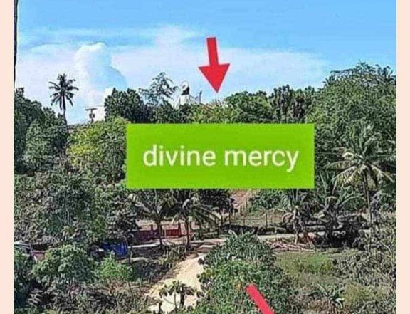 El Salvador Misamis Orient beside of Divine mercy shrine  Lot sale ins