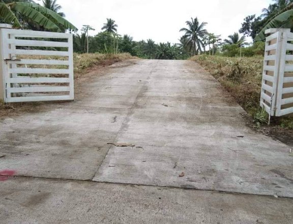 260 sqm Residential Farm For Sale in Amadeo Cavite