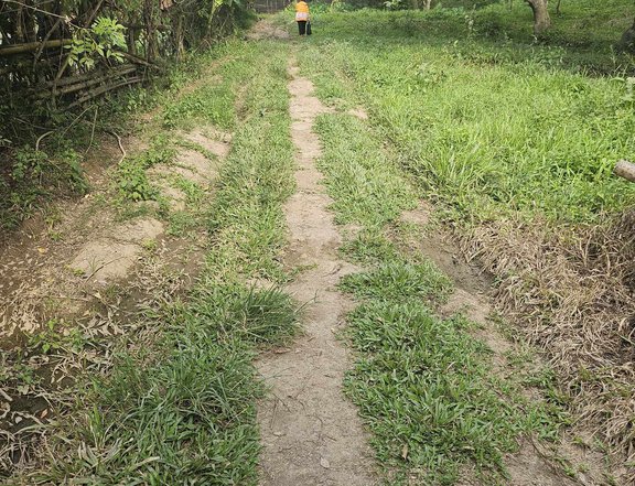 1.3 hectares Agro-Industrial Farm For Sale in Maco Davao De Oro Compostela Valley