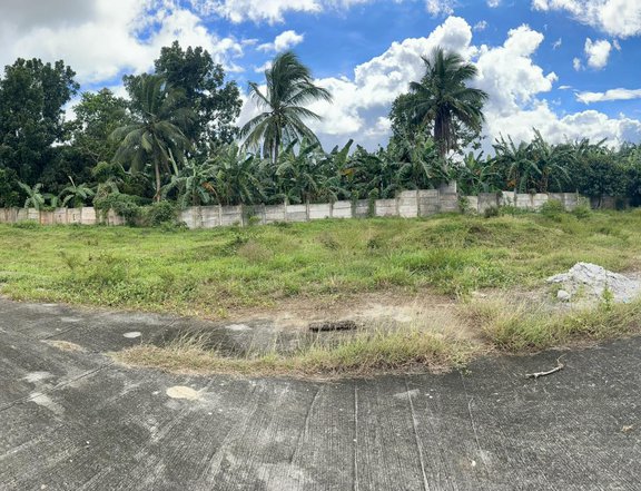 DISCOUNTED 473 CORNER RESIDENTIAL LOT FOR SALE IN SILANG CAVITE