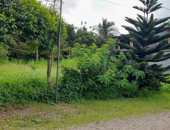 655 SQM RESIDENTIAL LOT FOR SALE IN AMADEO CAVITE
