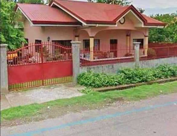 RFO 3-bedroom Single Detached House For Sale in Dumaguete