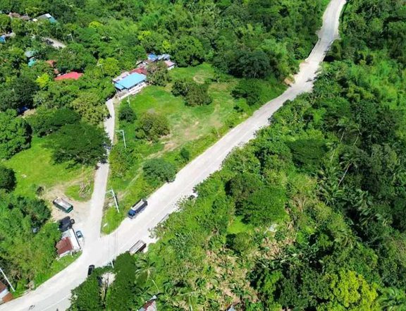 1200 sqmtrs Farm Lot For Sale in General Emiliano Aguinaldo Cavite