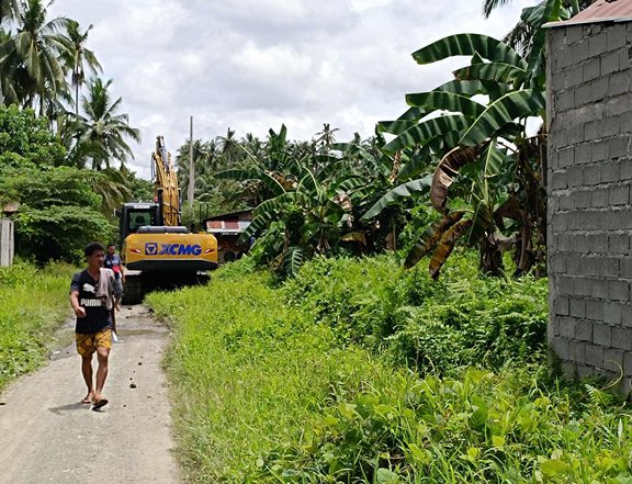 100 sqm Residential Lot For Sale in Tagum Davao Del Norte