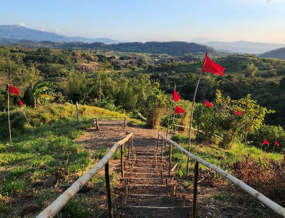 FARMLOT @ TANAY RIZAL! Overlooking Laguna Lake & Windmill View!