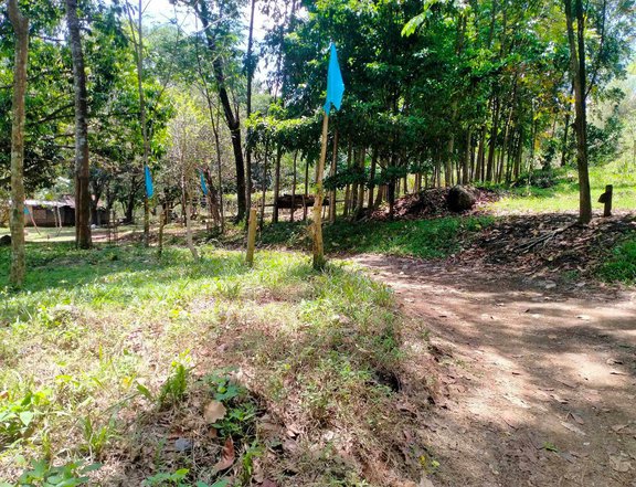 Titled Residential Lot in Morong Rizal