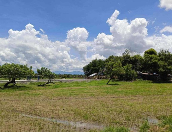 100sqm Residential Farm Lot for Sale in Trapiche Oton Iloilo