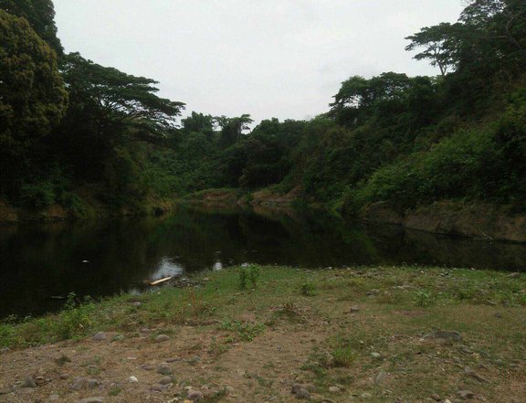 1 hectare Raw Land For Sale in Nasugbu Batangas