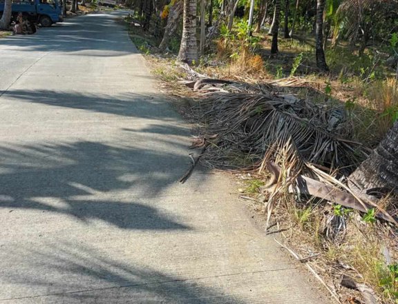 Titled lot Raw Land For Sale in Along brgy.roadTabogon Cebu