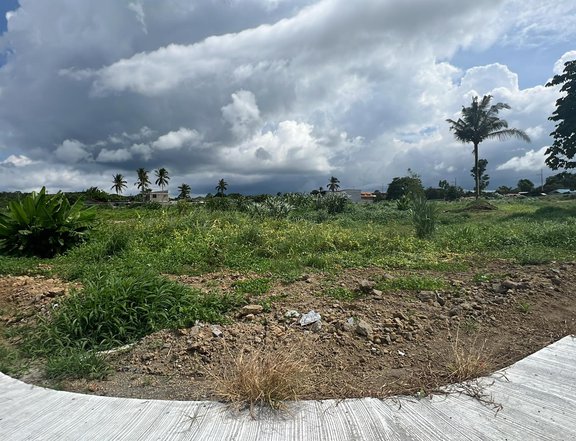 Open lot with Cement road already Silang Cavite