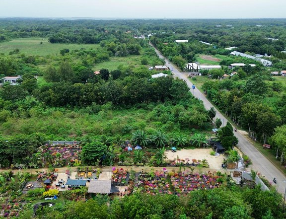 100 sqm Residential Lot For Sale Brgy. OBOOB,Bantayan Island Cebu