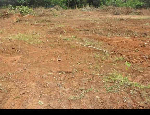2.8 hectares Residential Farm For Sale in Aguilar Pangasinan