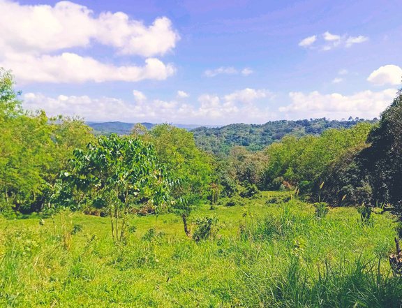 Affordable Titled lot for sale in Sampaloc Tanay Rizal