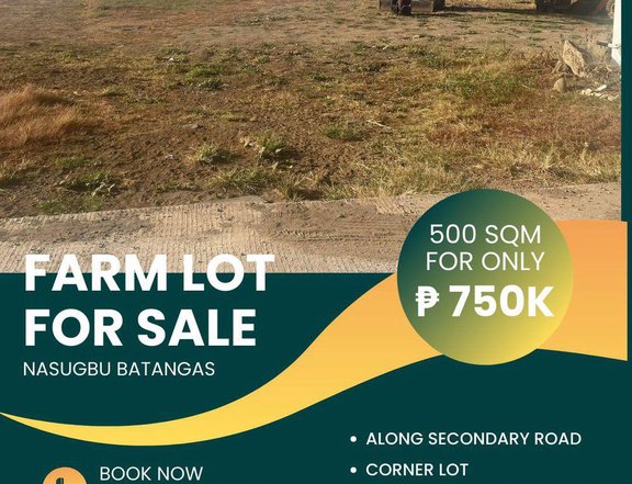 500 sqm Agricultural Farm For Sale in Nasugbu Batangas