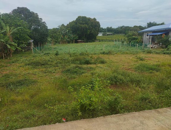 1000sqm Residential Lot for Sale in Nasugbu Batangas