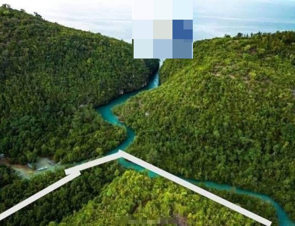 45,080 sqm Agricultural Farm For Sale in Aloguinsan,Cebu