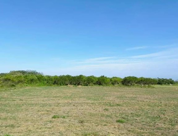 1,000 sqm Farm For Sale in Tiaong Quezon