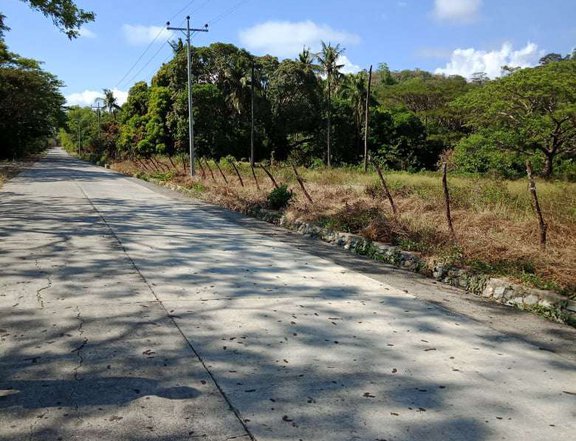 18.61 hectares Farm Lot For Sale in Paluan Occidental Mindoro