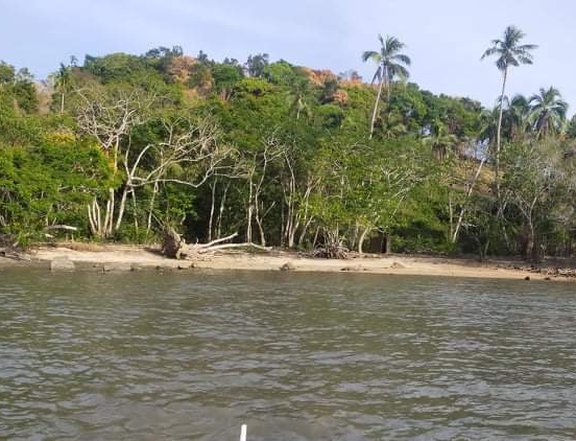3.32 Sqm Beach Property for sale in Camago, El Nido, Palawan