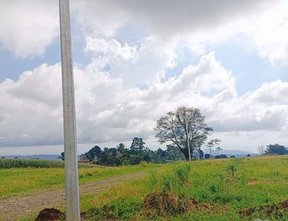 1000sqm Subdivided Lots for Sale at Claveria, Misamis Oriental