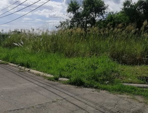653 sqm Residential Lot For Sale in Greenville Subdivision