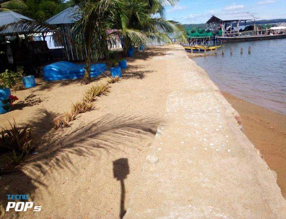 12000 sqm Beach Property in Guimaras