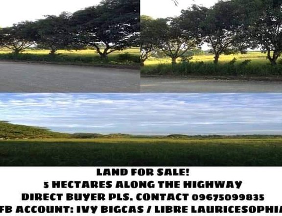 5 hectares agricultural land in Sto. Tomas, Davao del Norte