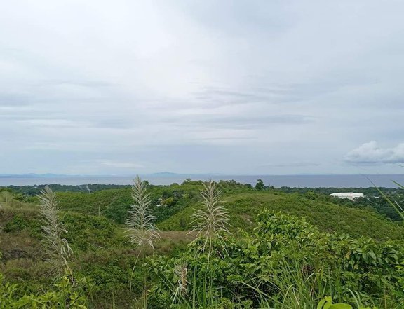 Sea View and Mountain View Lot for Sale Crown Heights Compostela Cebu