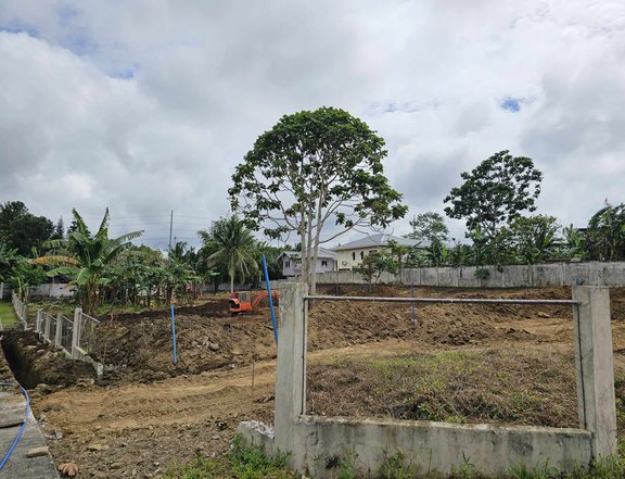 120sqm. Residential Lot in Amadeo-Tagaytay Cavite