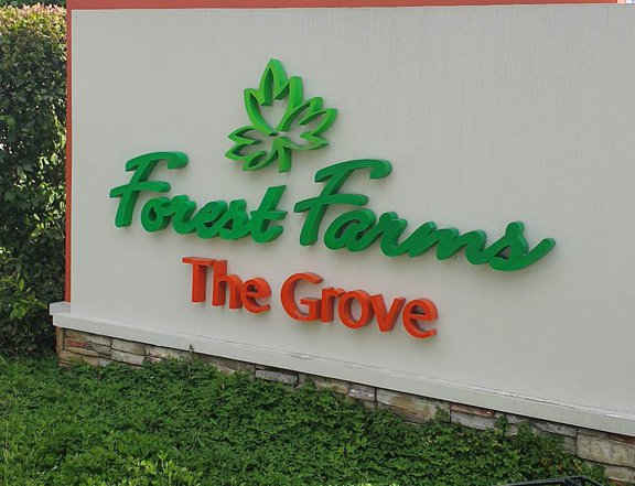 THE FOREST FARMS THE GROVE 2