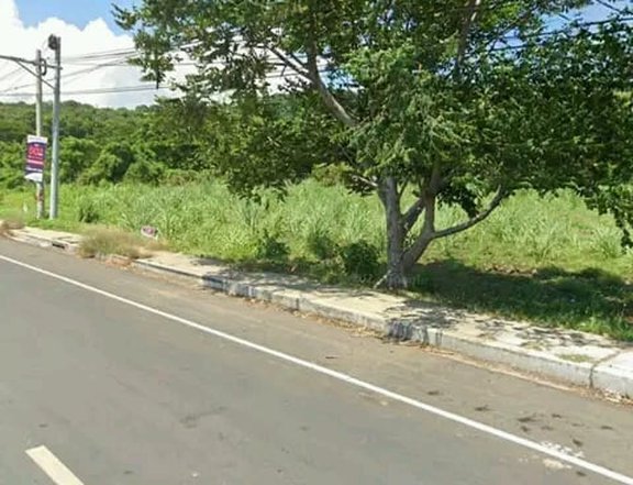200 hectares Agro-Industrial Farm For Sale in Lian Batangas