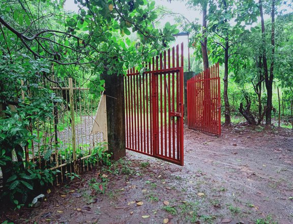 7763 sqm Residential Farm For Sale in Abucay Bataan