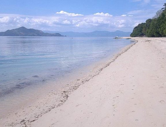 9.2 hectares Beach Property For Sale in Linapacan Palawan