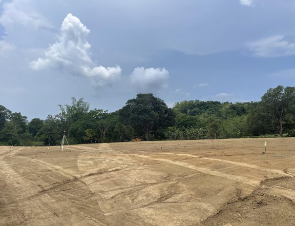 Residential Farm Land For Sale in Nasugbu Batangas #butucannasugbu