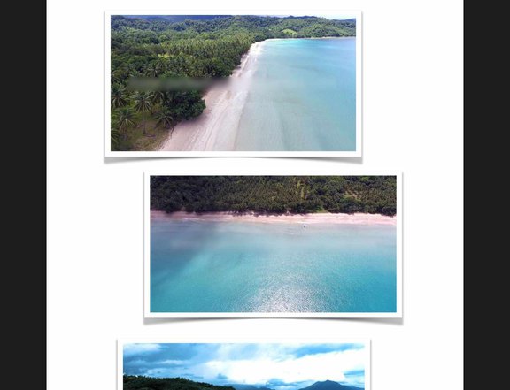 9,200 sqm Beach Property For Sale in Marufinas,Puerto Princesa Palawan