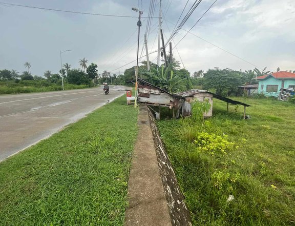 100 sqm Residential Lot For Sale