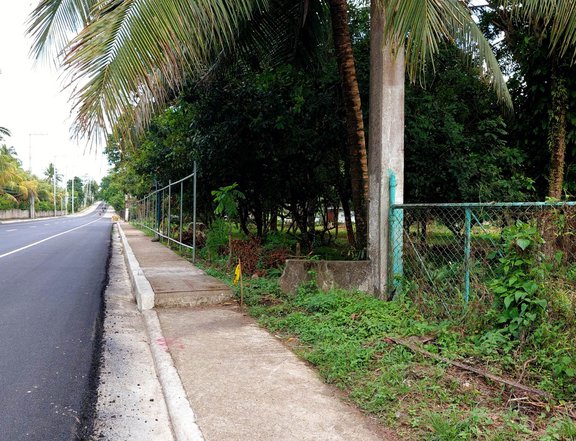 COMMERCIAL LOT & RESIDENTIAL LOT IN SAN PABLO LAGUNA 5YRS TO PAY