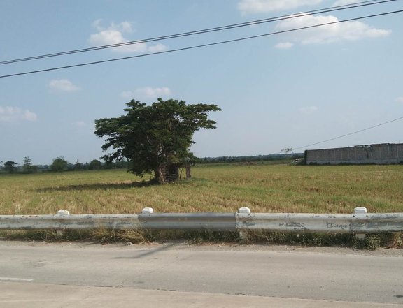 3hectare Lot for Sale in Villasis, Pangasinan