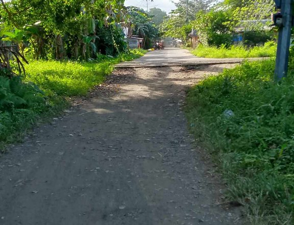 Residential Lots for sale in Sta. Fe Leyte