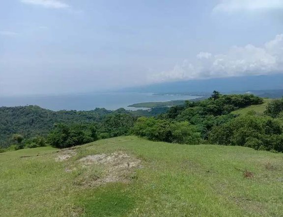 Lot For Sale in Baybay Leyte Overlooking