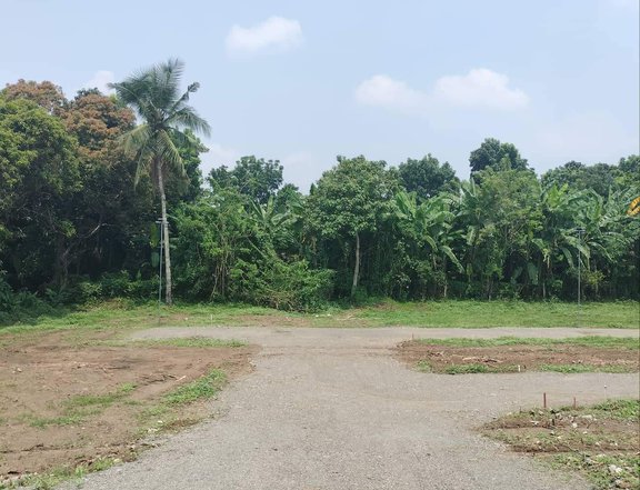 100 sqm COMMERCIAL AND RESIDENTIAL LOT FOR SALE IN LIPA CITY IN