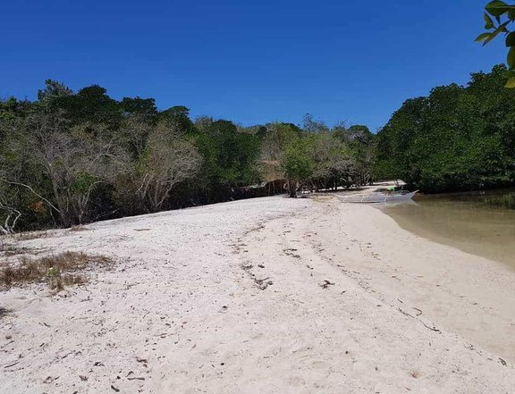 3.86 hectares Beach Property For Sale in Coron Palawan