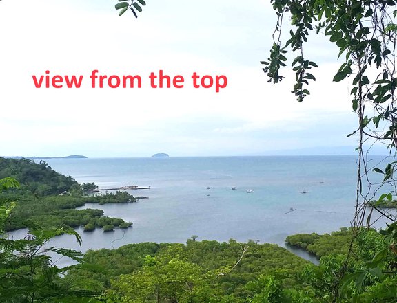 1.34 hectares Overlooking Seaview Lot for Sale in Ubay, Bohol